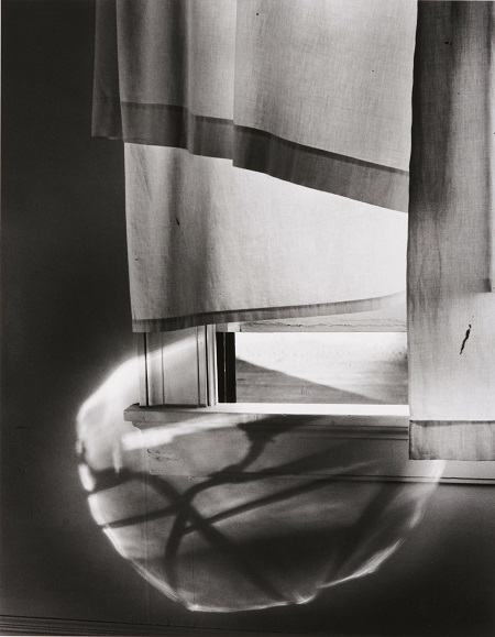 Minor White Windowsill Daydreaming, Rochester, New York 1958 Gelatin silver print