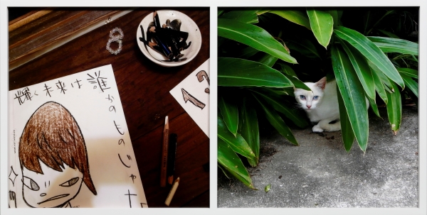 Nara Yoshitomo,《NY Drawing (left); Yogyakarta Cat (right)》from the series 〈days 2003-2012〉
