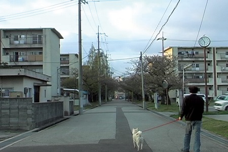 Takashi Toshiko, Itami 2006 Winter, 2006, Single-channel video, 21 min.,Collection of Tokyo Photographic Art Museum