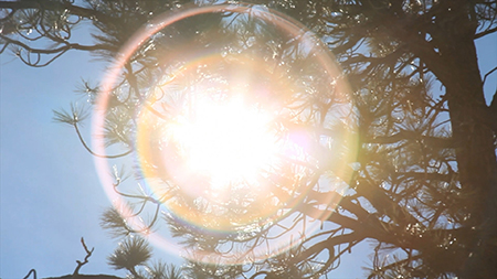 川内倫子《Illuminance》 2001-22年 シングルチャンネル・ヴィデオ 東京都写真美術館蔵 川内倫子《Illuminance》 2001-22年 シングルチャンネル・ヴィデオ 東京都写真美術館蔵