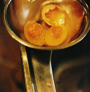 TOPコレクション　明日の食卓（仮）