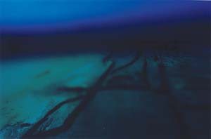  Forty below III”(ｃ)Clare Langan