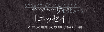 セバスチャン・サルガド「ESSAYS」タイトル