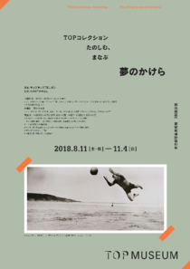 チラシ1[pdf]