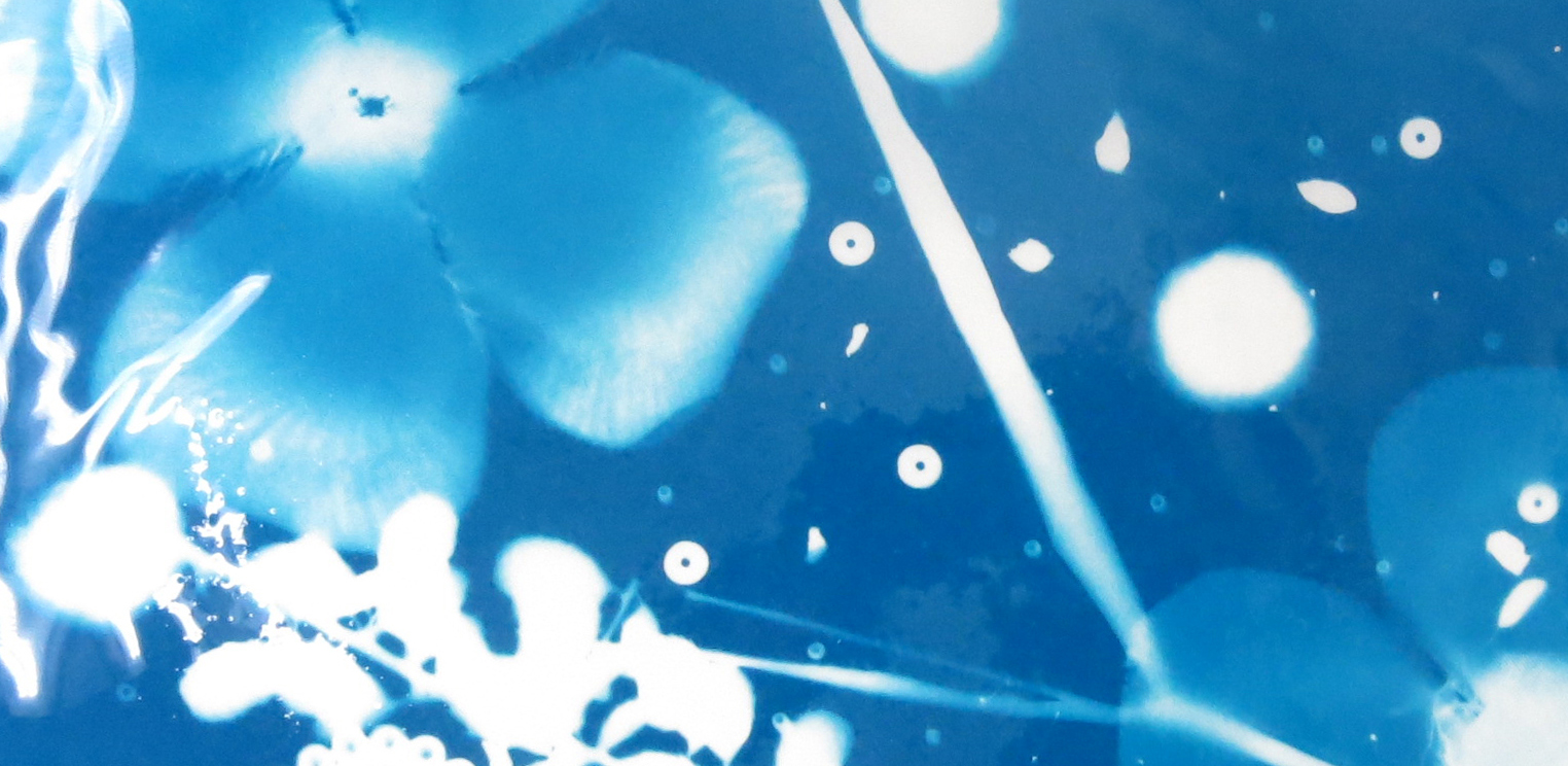 教育普及ブログを更新しました