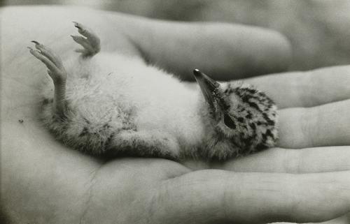 TOP Collection: Don't think. Feel.