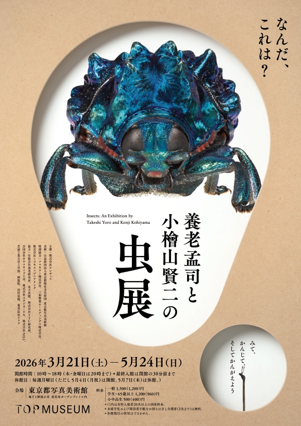 Insects: An Exhibition by Takeshi Yoro and Kenji Kohiyama ― Look, Feel, and Think