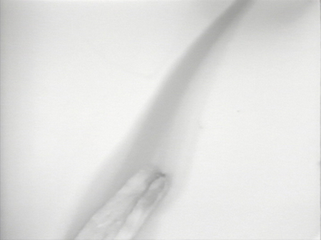 出光真子 《おんなのさくひん》1973年 東京都写真美術館蔵 ©Mako Idemitsu