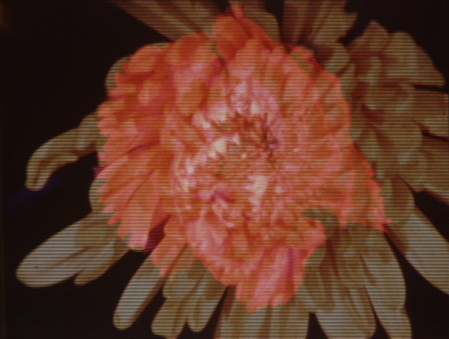 《At Yukigaya 3》1977年
