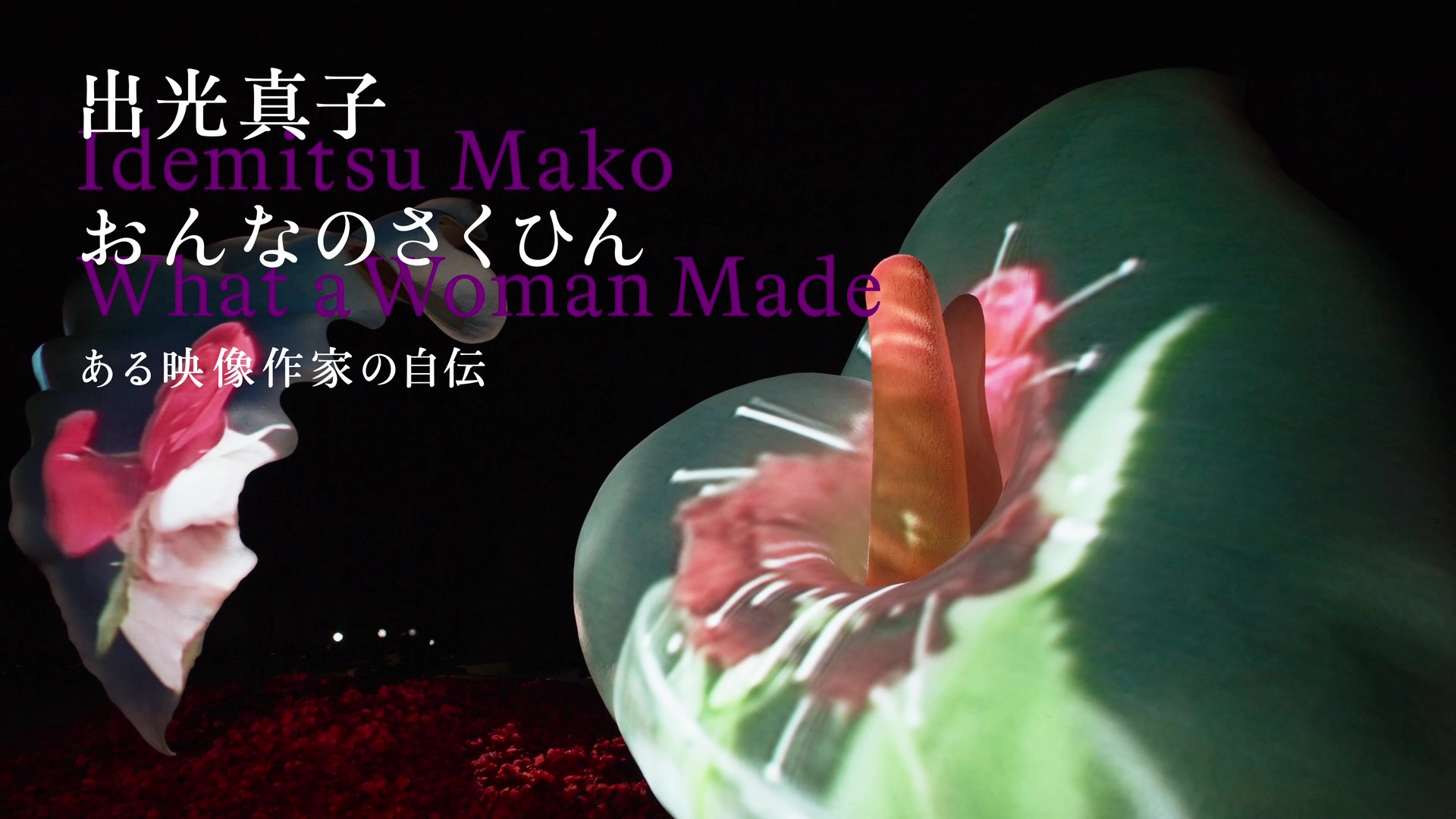 「出光真子　おんなのさくひん ――ある映像作家の自伝」展示風景