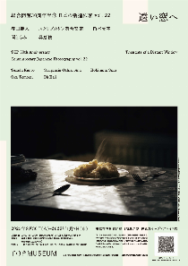 thoughts of a distant window_flyer[pdf]