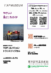 transphysical_guide3[pdf]