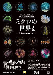 nikon-flyer[pdf]
