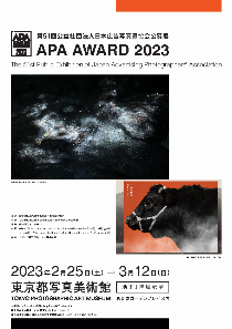 APA_award2023[pdf]