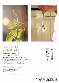 noguchirika_flyer[pdf]